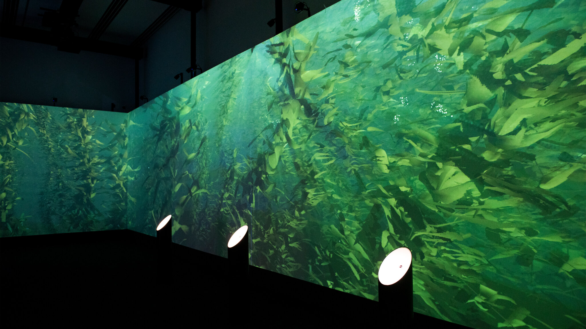 One art installation in an immersive experiential brand event in Shanghai. An immersive, projection mapped kelp forest.